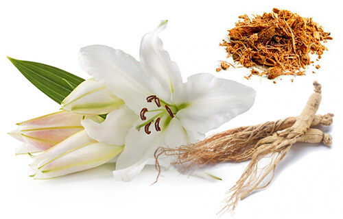 6-tevhit-az-instantense-egy-teljesen-natur-kozmetikum